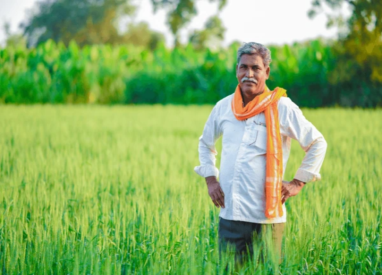 Farmers First: Rural Empowerment & Organic Farming